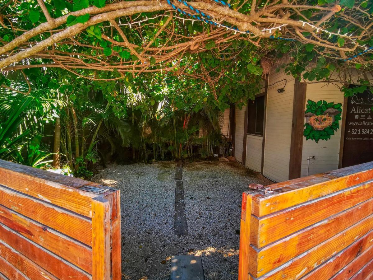 Alicat Villas Тулум Екстериор снимка